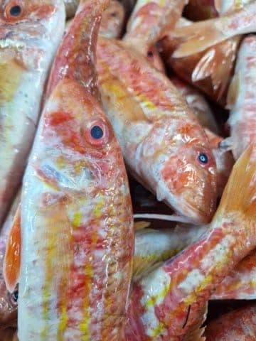 Red mullet medium size  - Image 3
